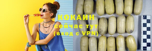 соль ск Горно-Алтайск