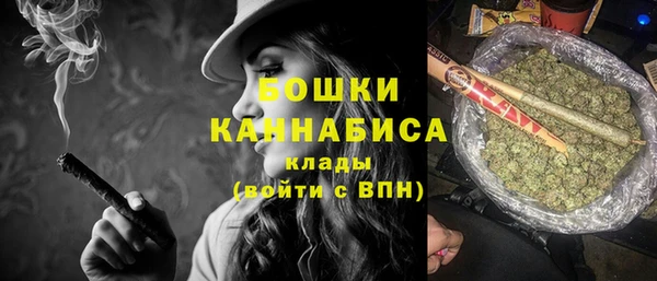ALPHA-PVP Вяземский