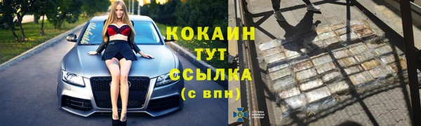 соль ск Горно-Алтайск