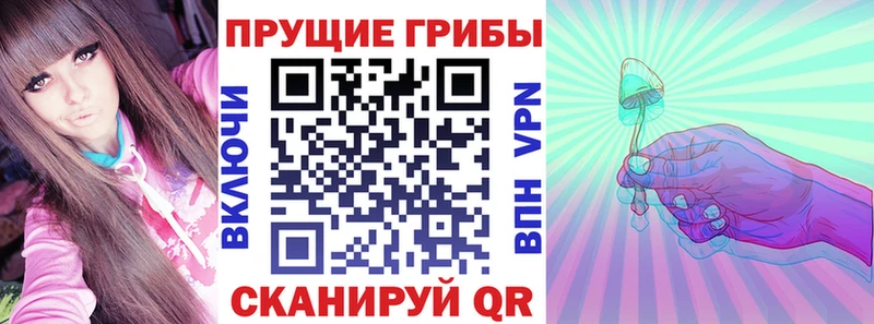 Псилоцибиновые грибы мухоморы  кракен зеркало  Зима 